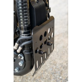 Harley Davidson Bugspoiler Sportster