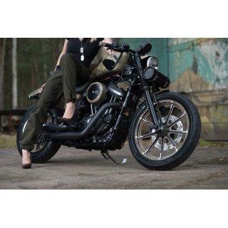Harley Davidson Bugspoiler Sportster