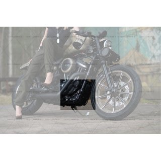 Harley Davidson Bugspoiler Sportster