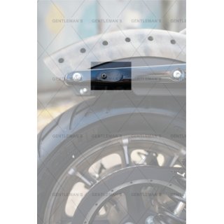 Harley Davidson Blinker Abdeckplatten Sportster